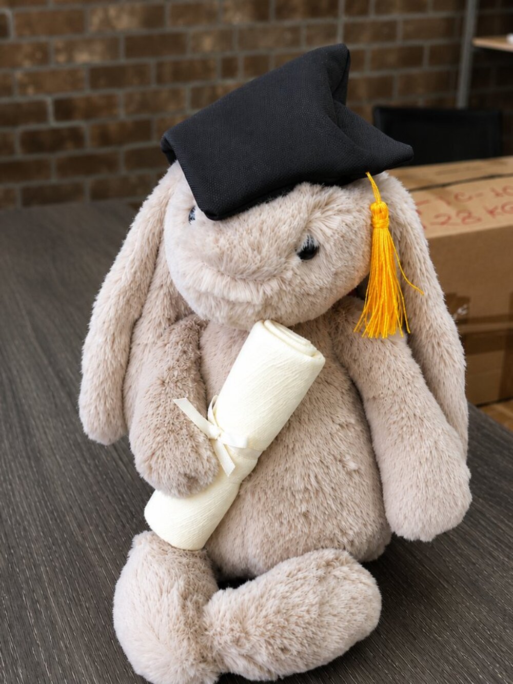 Jellycat Bashful Bunny Graduation - BNWT